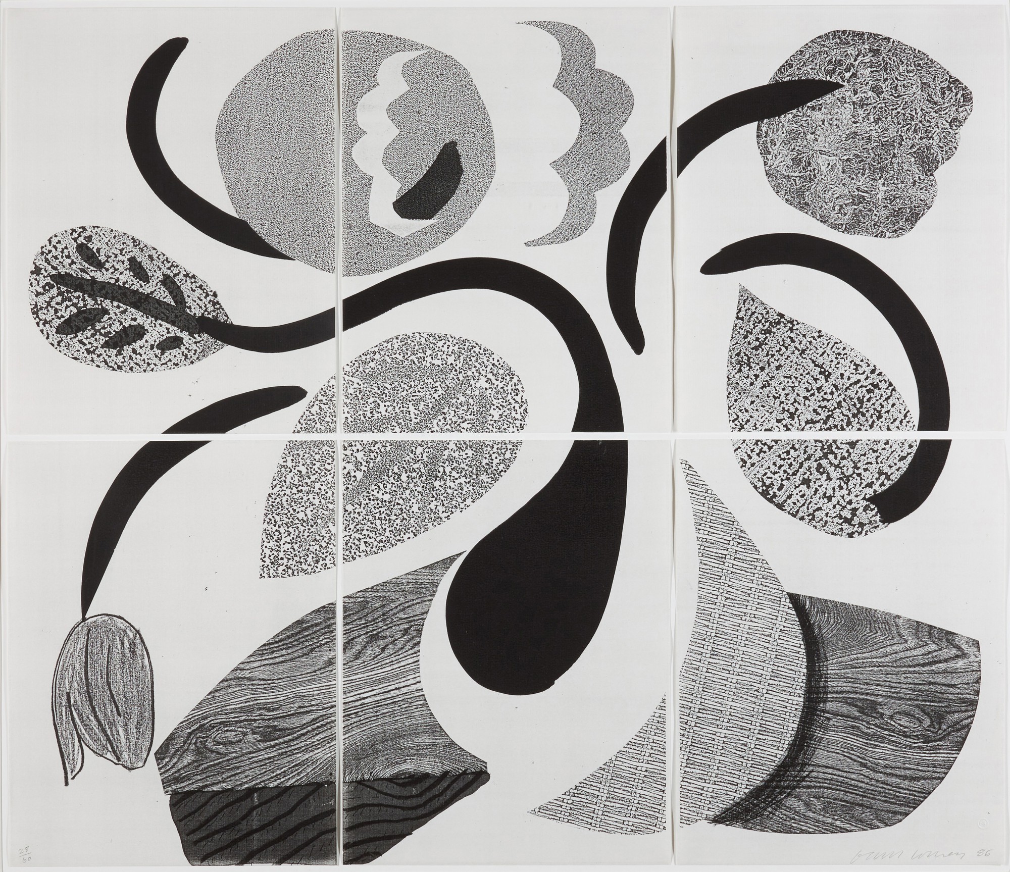 David Hockney - Dancing Flowers (MCA Tokyo 307)