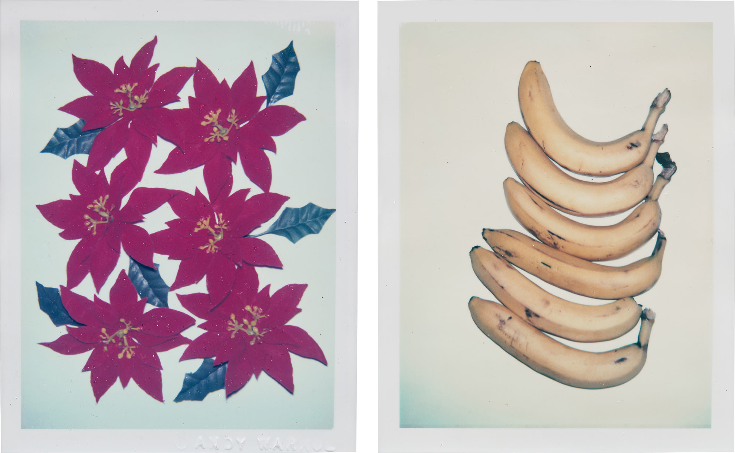 Andy Warhol - Two works: (i) Bananas; (ii) Poinsettias