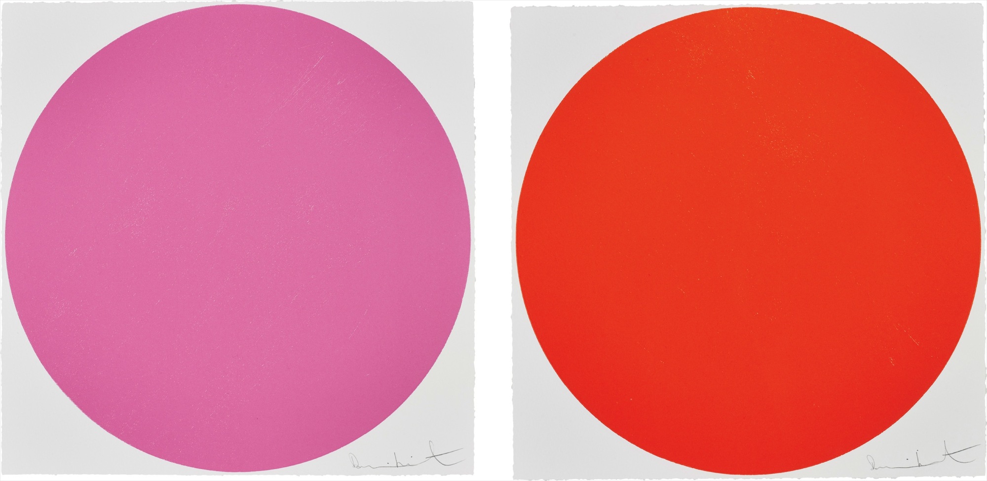 Damien Hirst - Quisqualic Acid; and Mepartricin, from 40 Woodcut Spots