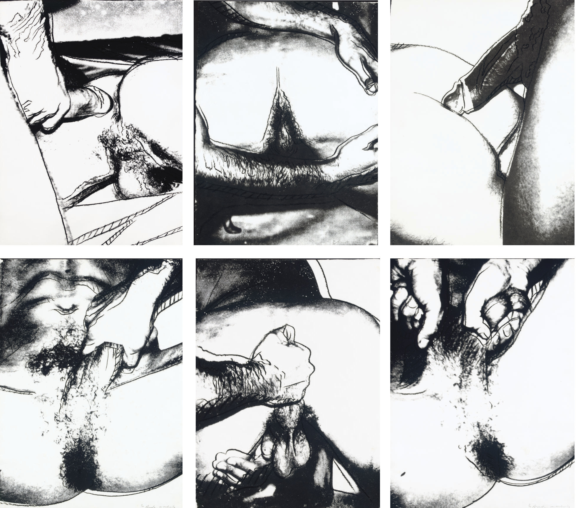 Andy Warhol - Sex Parts