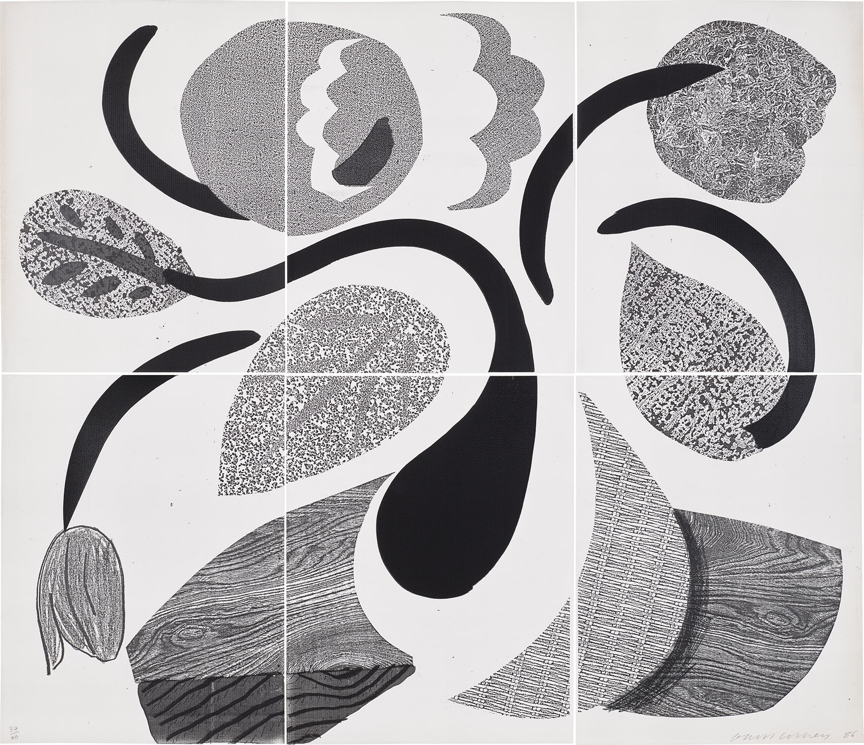 David Hockney - Dancing Flowers (M.C.A.T. 307)