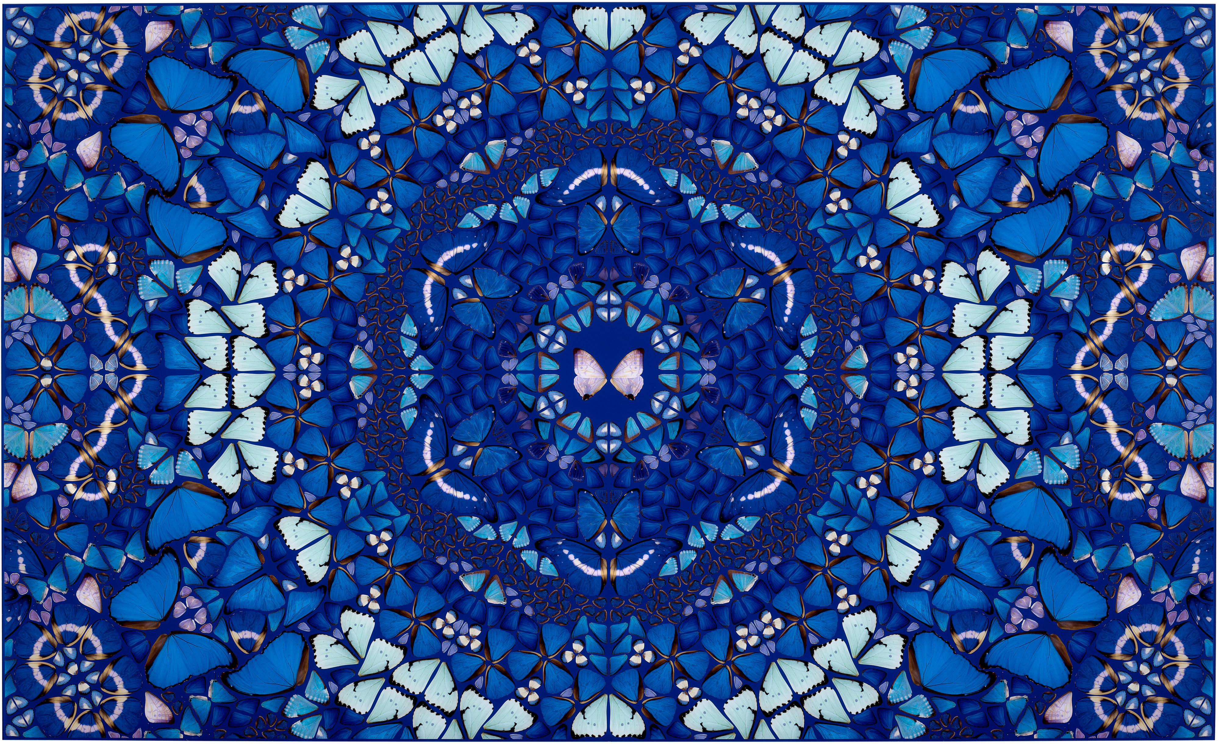 Damien Hirst - Chameleon, from The Kaleidoscopes (H18-2)