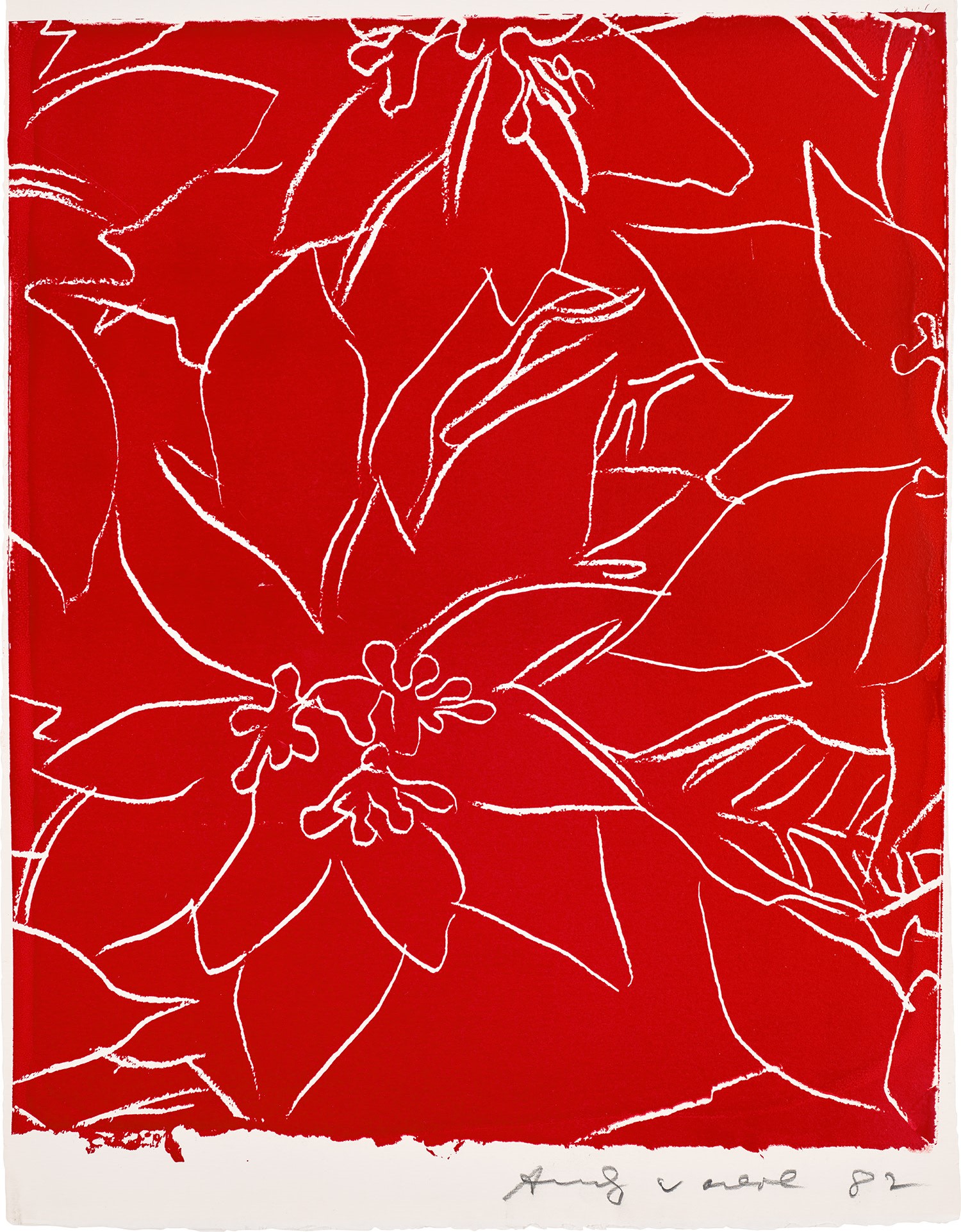 Andy Warhol - Poinsettias (F. & S. IIIA.50)