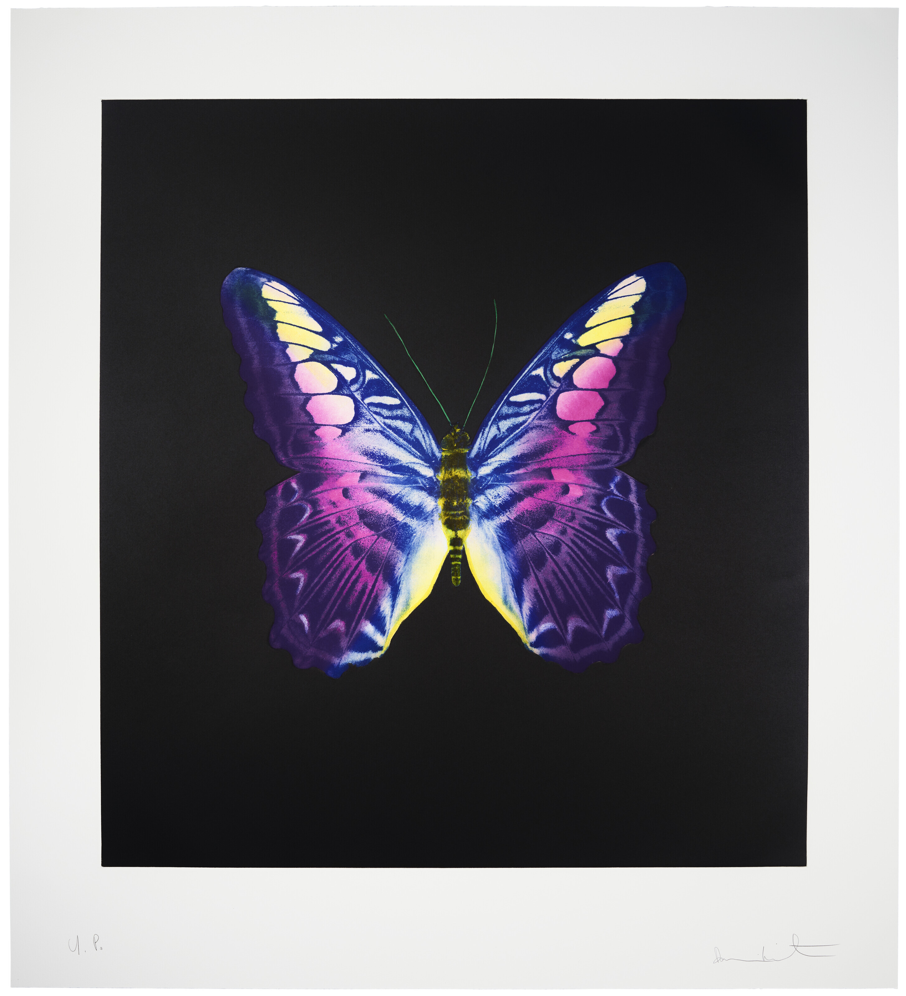 Damien Hirst - The Souls on Jacob's Ladder Take Their Flight: one print