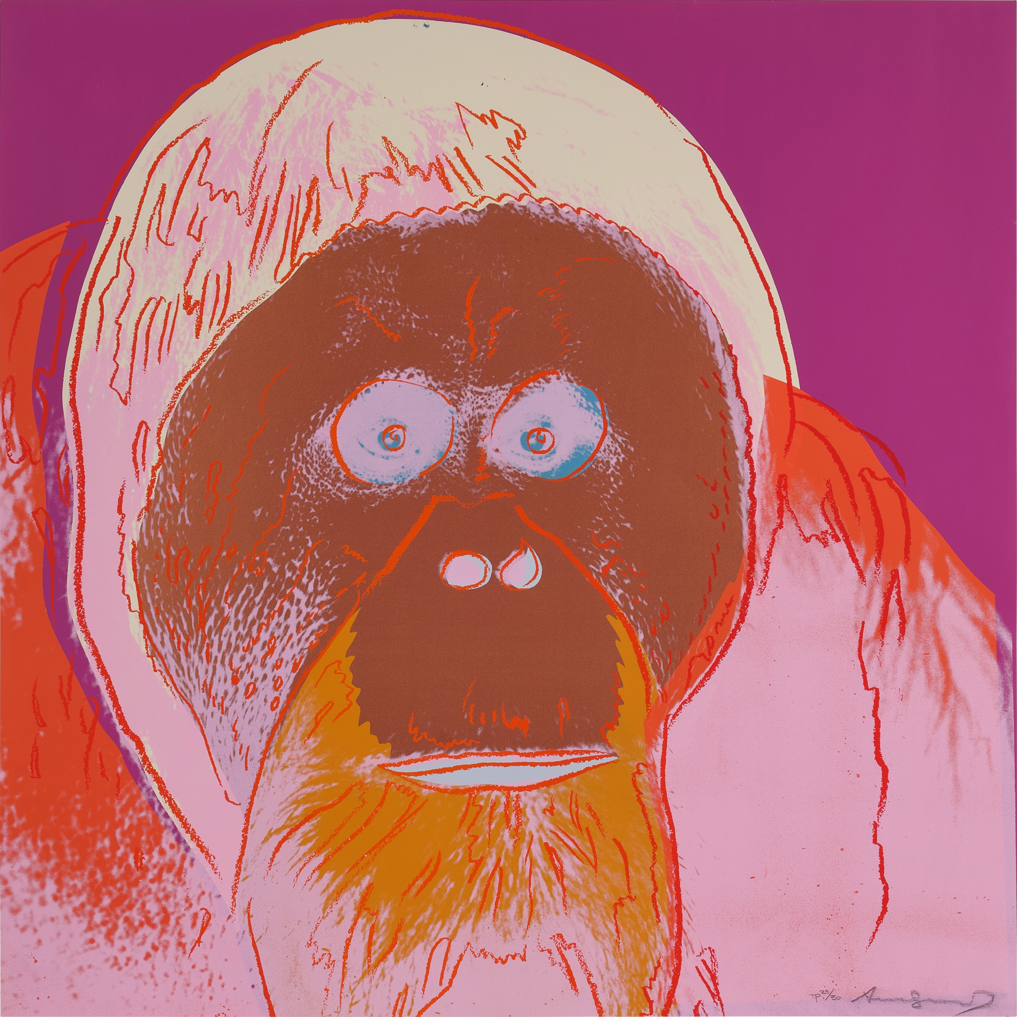 Andy Warhol - Orangutan, from Endangered Species (see Feldman & Schellmann IIB.299)
