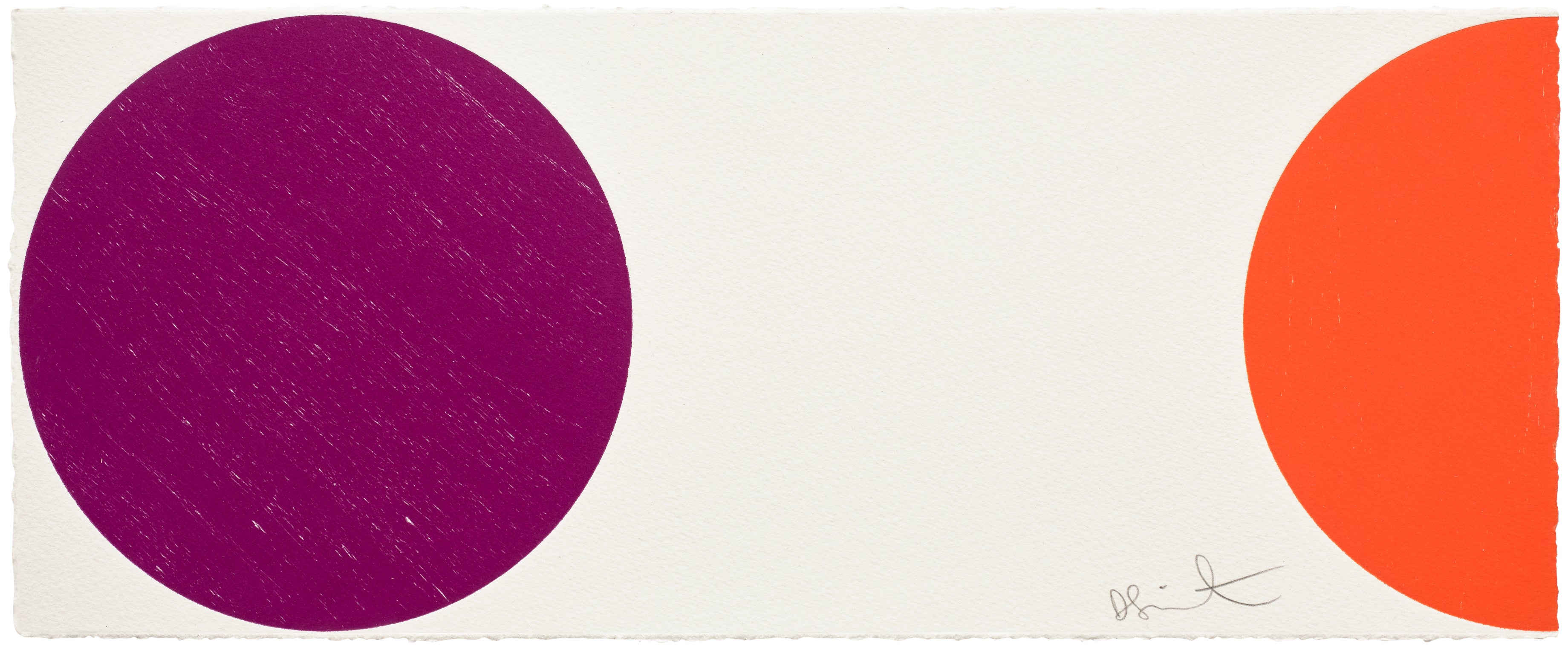 Damien Hirst - Ferric Ammonium Citrate, from 40 Woodcut Spots