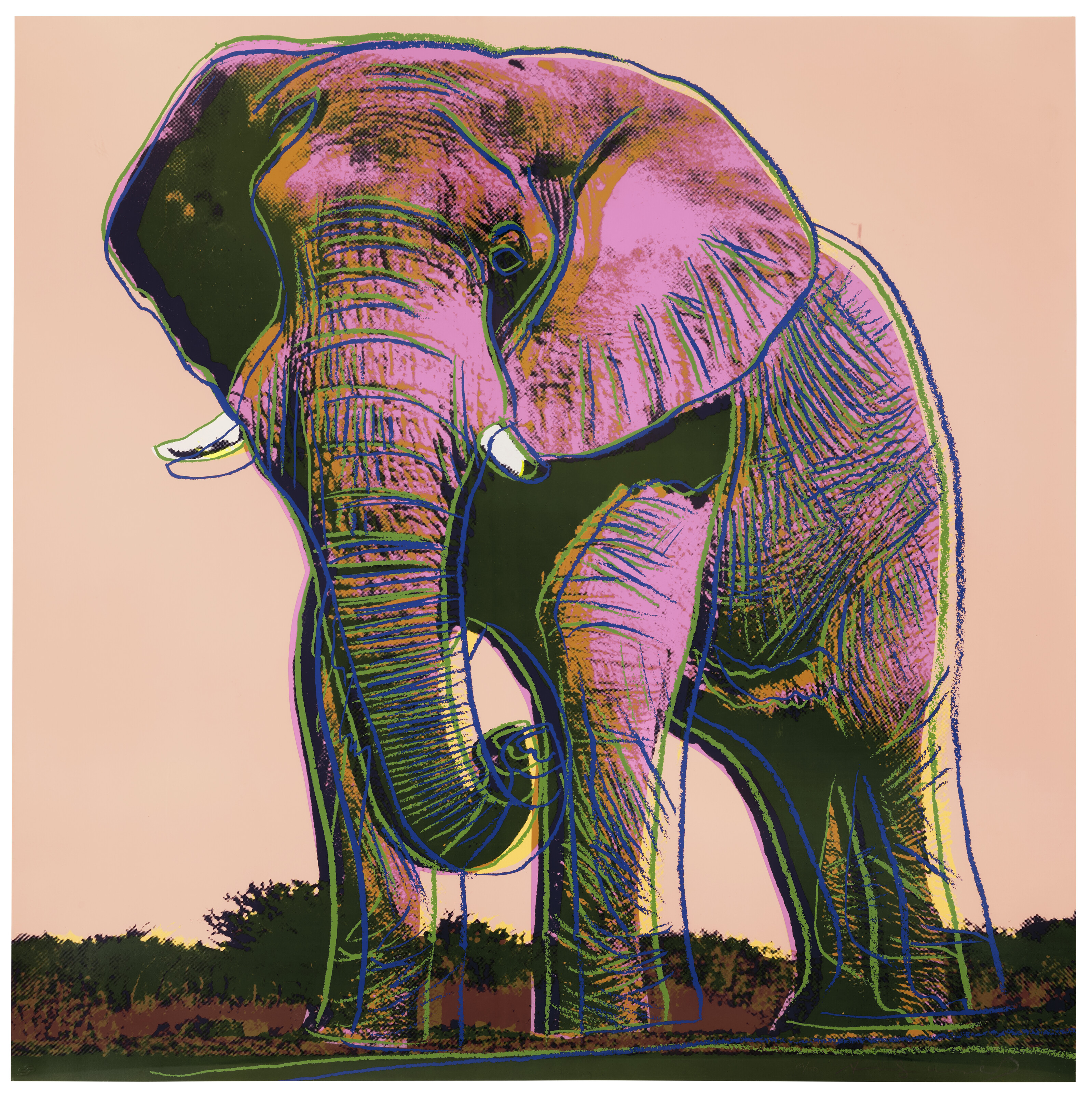 Andy Warhol - African Elephant, from Endangered Species