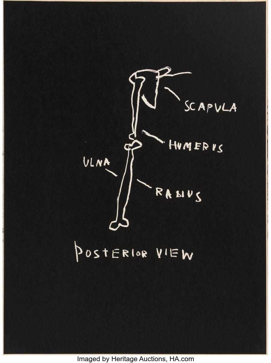 Jean-Michel Basquiat - Posterior View, from Anatomy