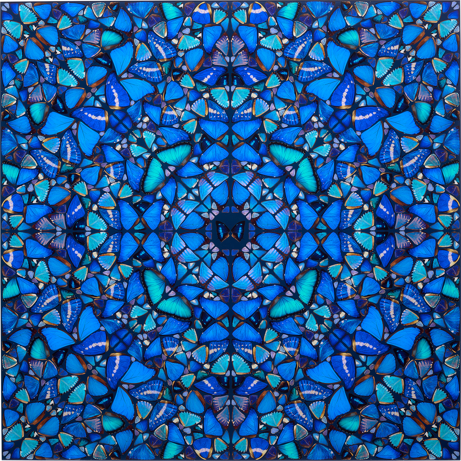 Damien Hirst - Patience, from The Aspects (H6-3)