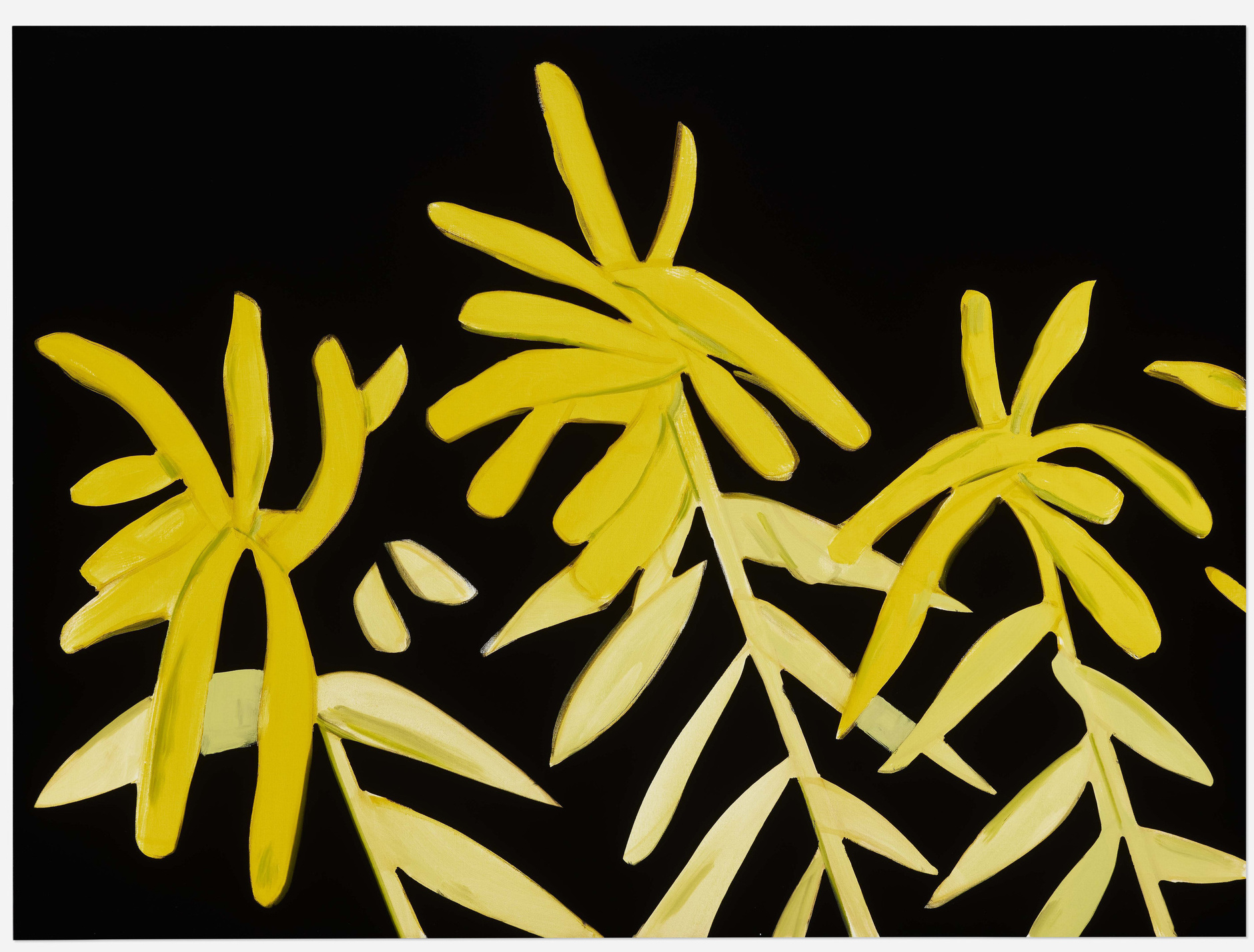Alex Katz - Goldenrod (from the Flowers portfolio)