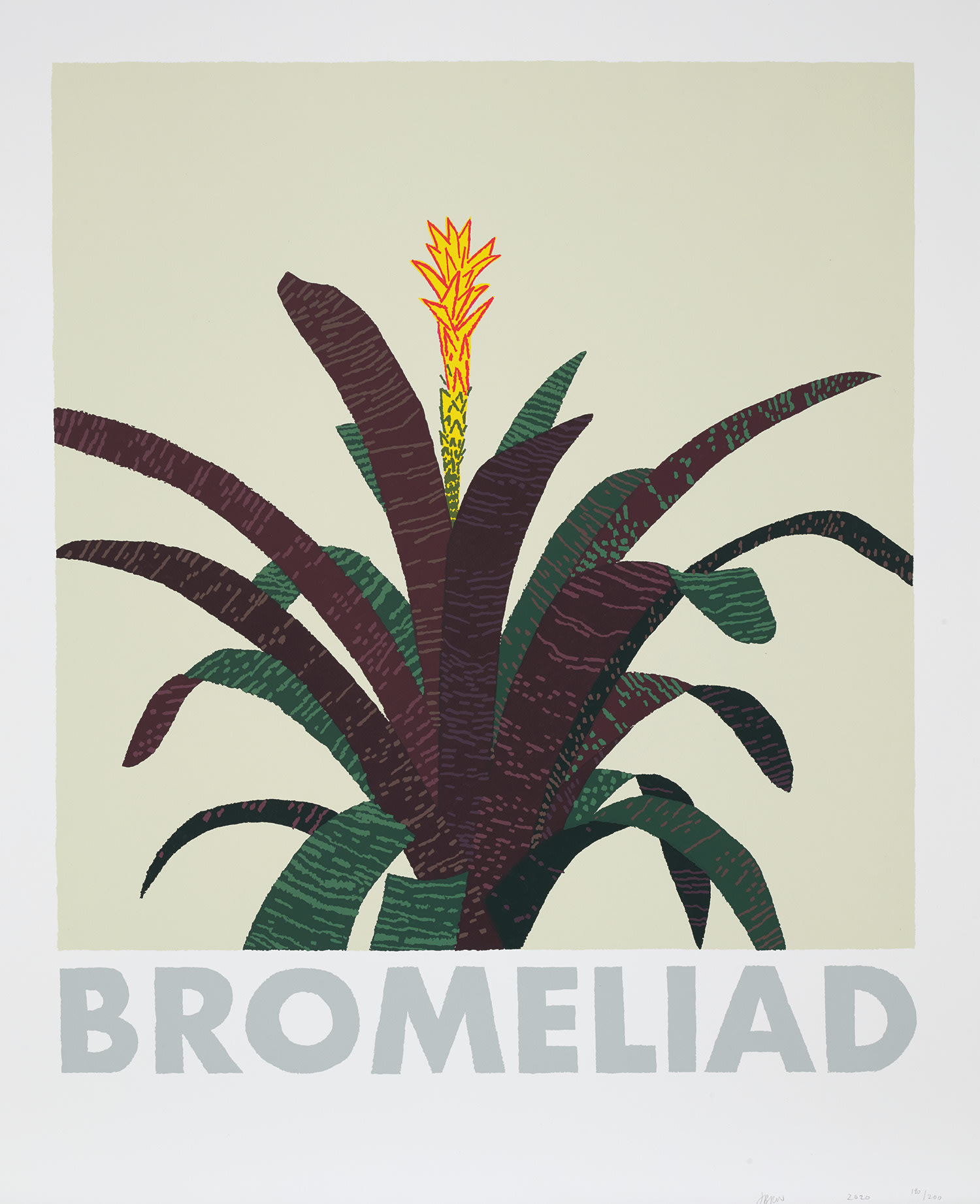 Jonas Wood - Bromeliad