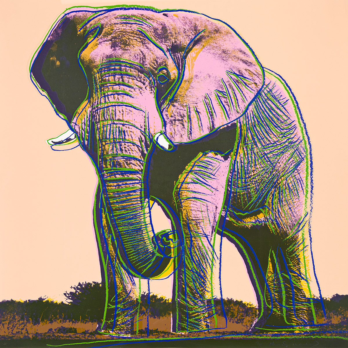 Andy Warhol - African Elephant.