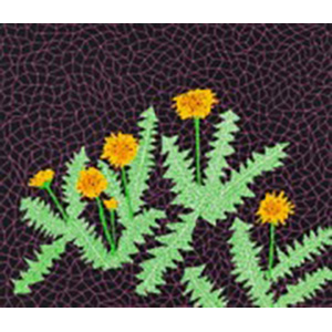 Yayoi Kusama - DANDELIONS (Kusama 85)