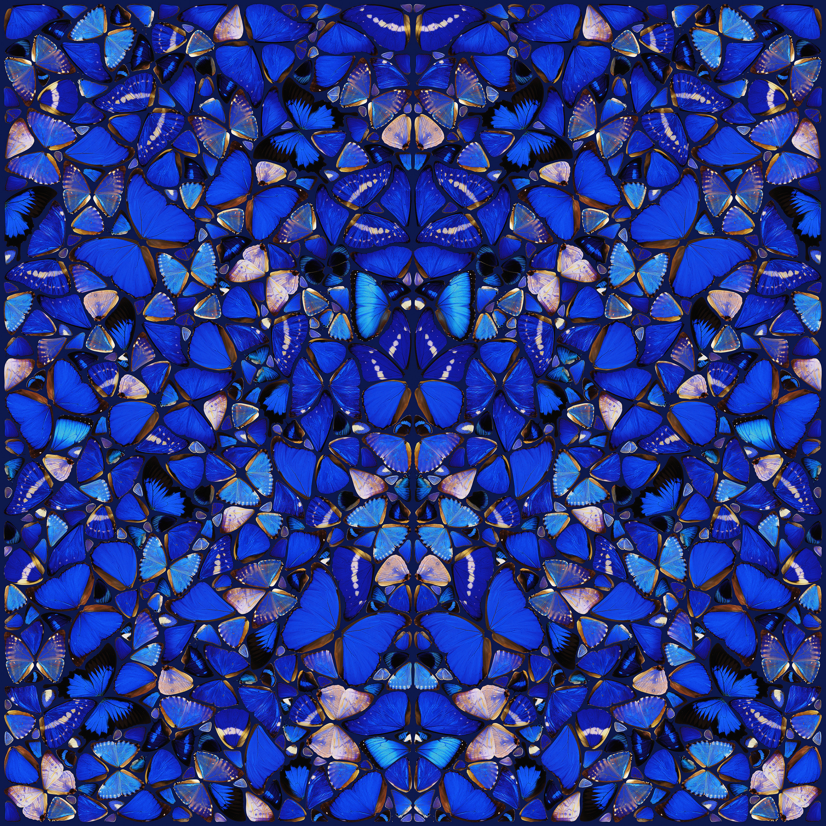 Damien Hirst - Mercy, from The Aspects (H6-1)